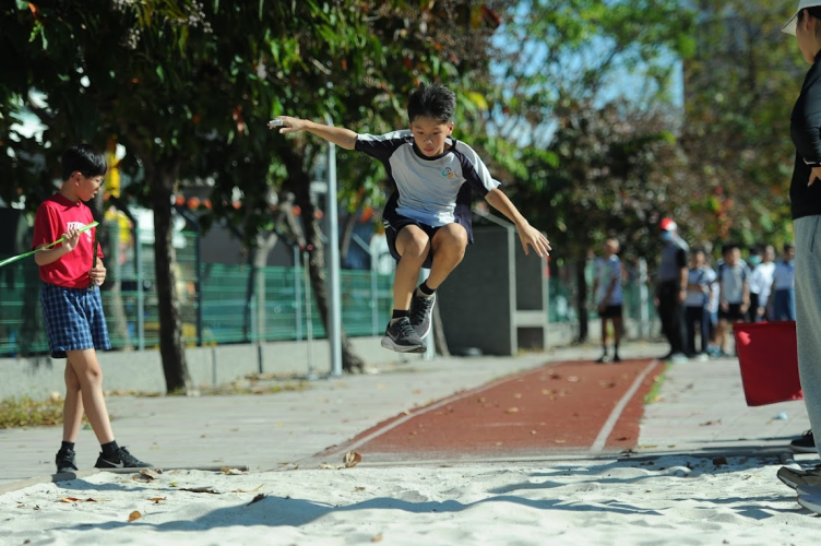 編號319圖片連結的縮圖