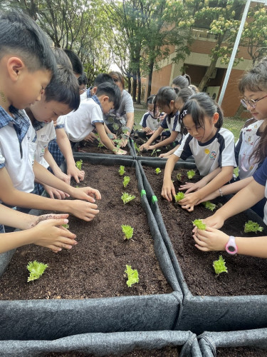 編號350圖片連結的縮圖